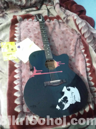 Gogo guitar new